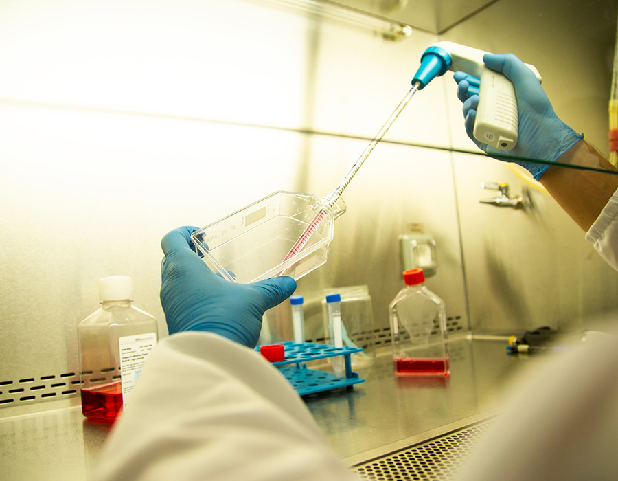Biotechnologia & Pharmaceutical