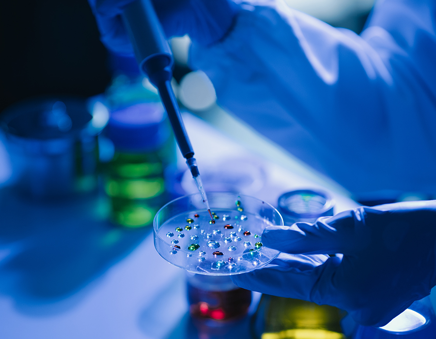 Vita Scientiae Research